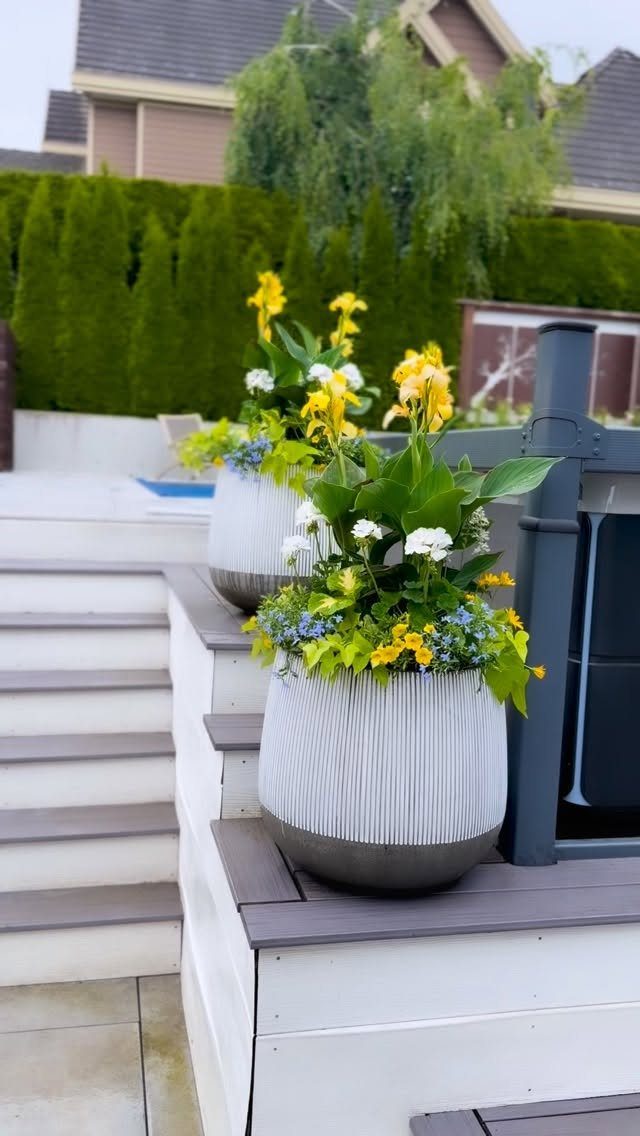 11 Around Deck Landscaping Ideas with Photos and Tips 1 Two large white ribbed planters filled with yellow and white flowers on a wooden deck ledge.