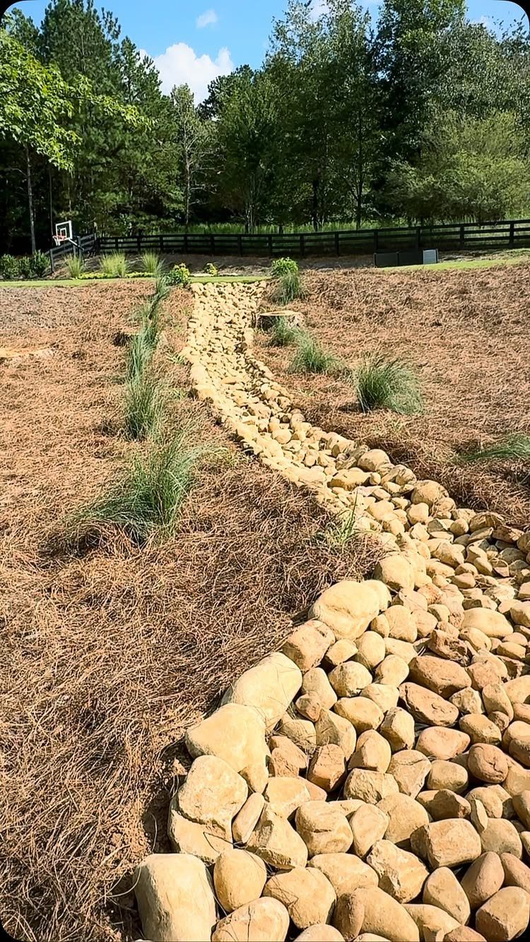 11 Around House Landscaping Ideas for Foundation to Fence 3 A winding path of tan rocks curves through a landscape of brown pine straw and green plants.