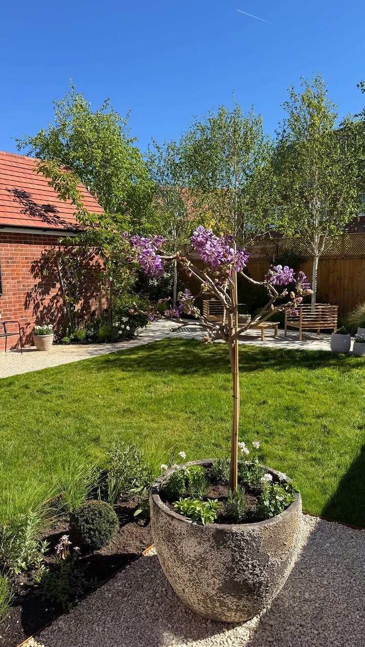 11 Around House Landscaping Ideas for Foundation to Fence 10 A small tree with purple blossoms in a large stone planter on a gravel path near a lawn.