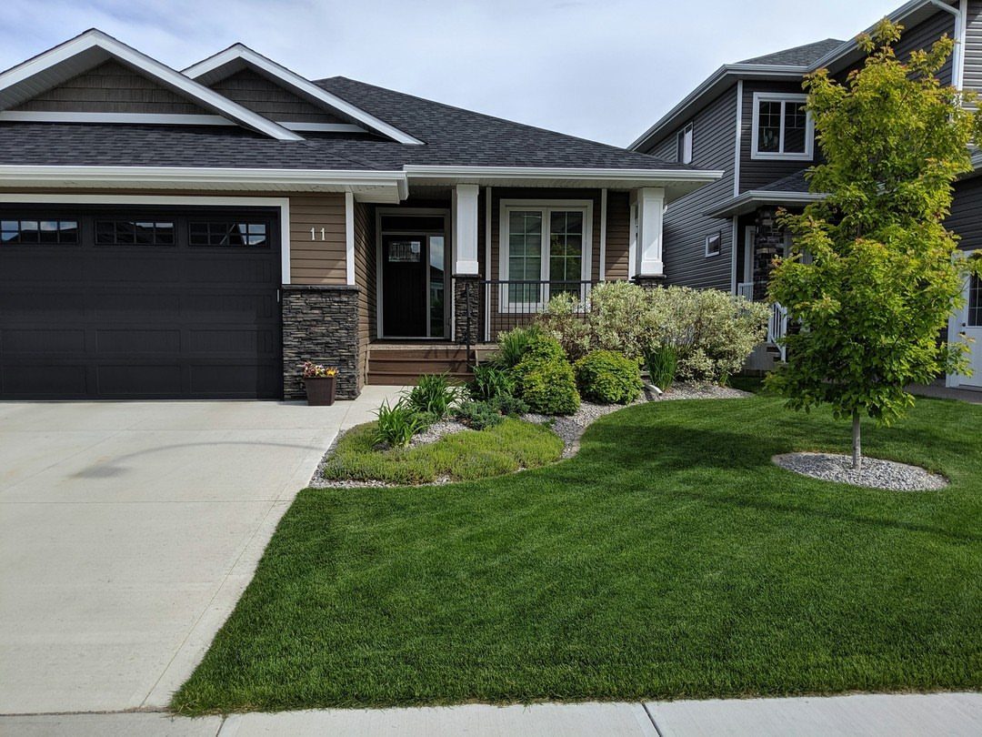 11 Around House Landscaping Ideas for Foundation to Fence 2 Green shrubs and bushes planted in a landscaped bed along the foundation of a modern house.