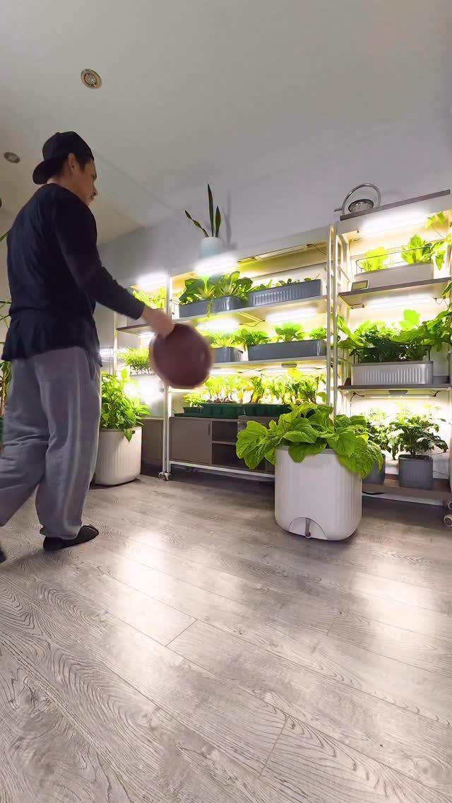 A person walks past indoor shelving units filled with lush green microgreens and leafy plants.