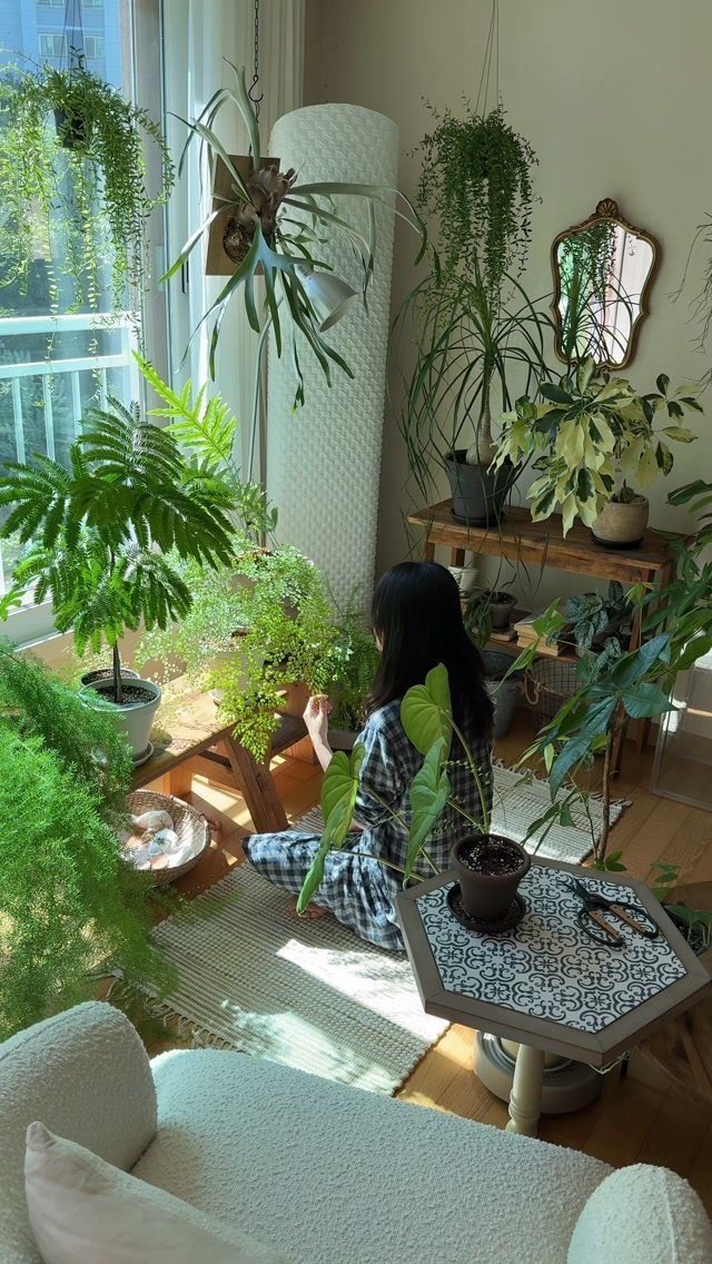 A person sitting amidst many lush green indoor plants in a sunlit room.