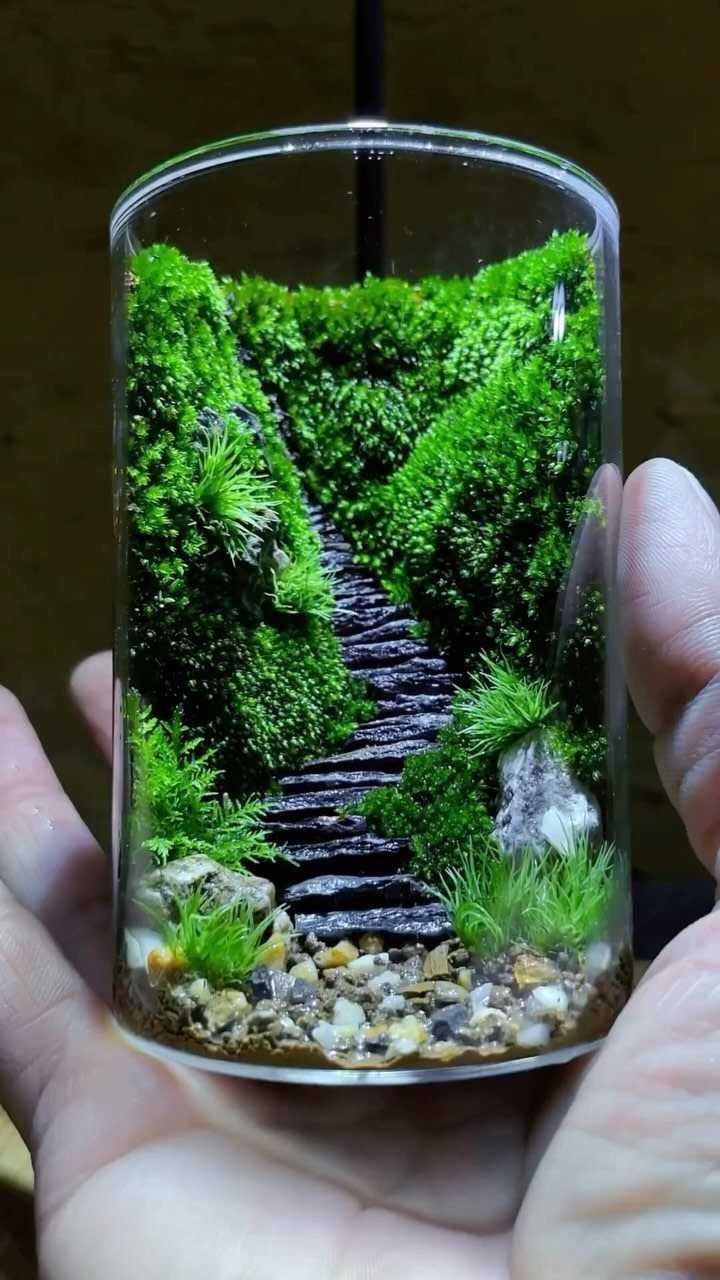 A miniature moss terrarium with a tiny stone staircase held in a person's hands.