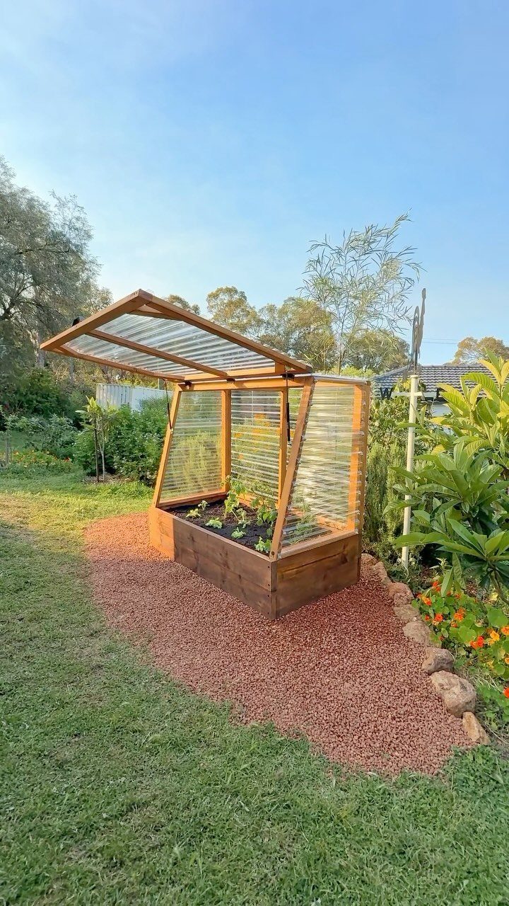 A small wooden greenhouse with clear panels sits on reddish gravel in a garden.