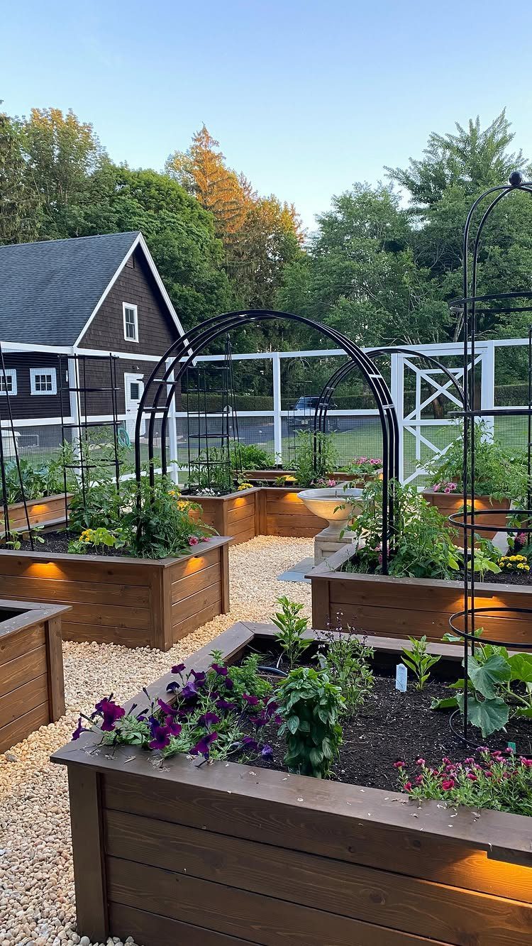 Wooden raised garden beds with plants and flowers arranged on a gravel path in a backyard.