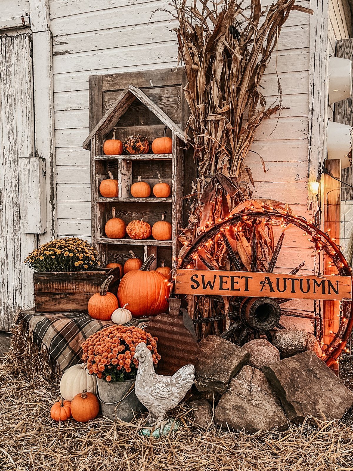 Autumnal decorations including pumpkins, corn stalks, and a wagon wheel against a white barn wall.