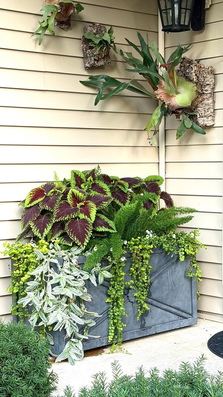23 Backyard Garden Inspiration Ideas for Any Space 6 A grey planter box filled with vibrant coleus and trailing green plants against a beige wall.