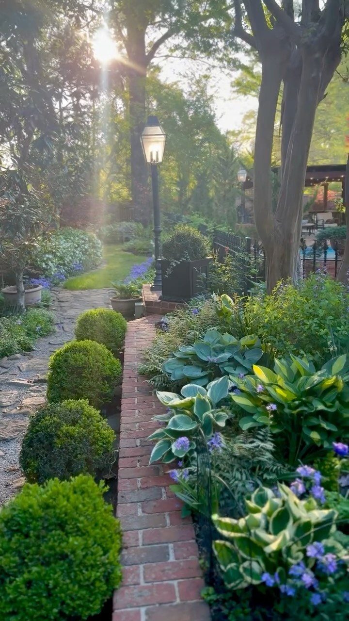 Lush green garden with brick edging, hostas, small shrubs, and a stone path during sunset.