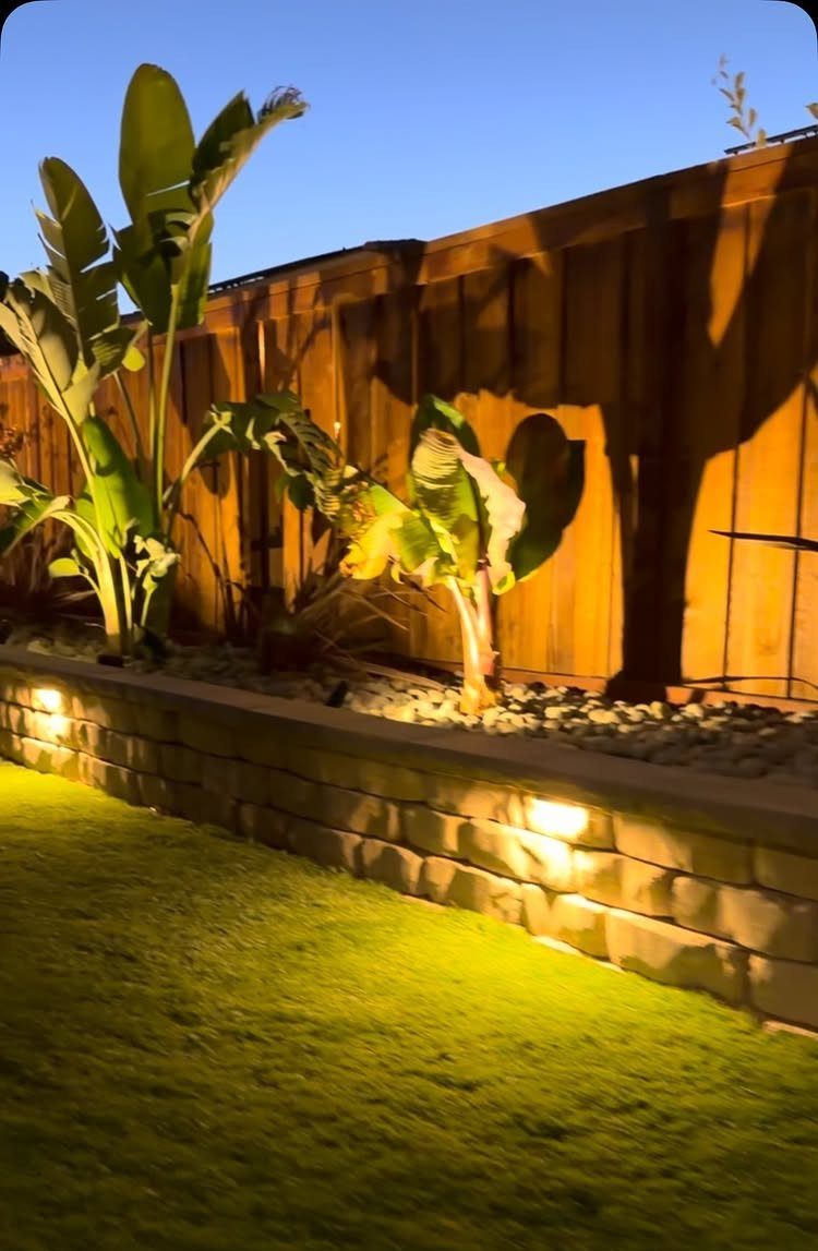 Warm lights embedded in a stone retaining wall illuminate tropical plants and a green lawn at night.
