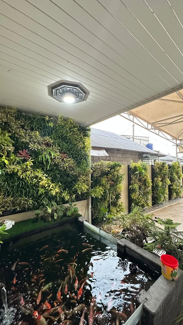 Green vertical garden wall above a koi pond filled with orange and white fish.
