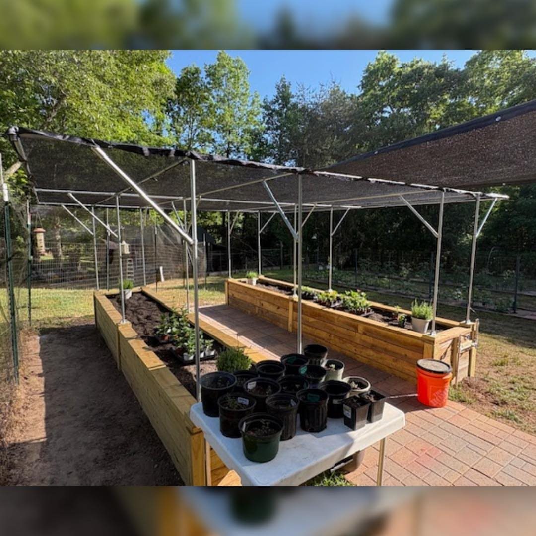 A black mesh shade canopy structure covering two long wooden raised garden beds outdoors.