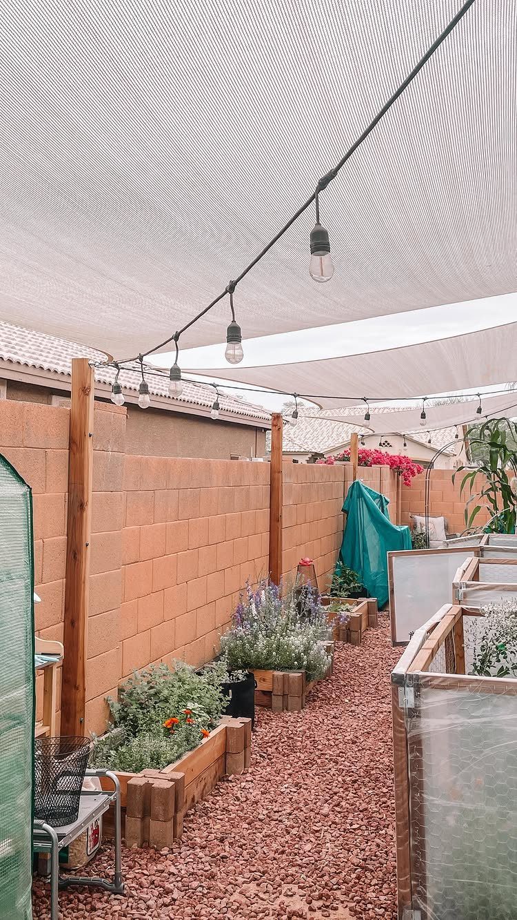 White fabric shade sails stretched over a gravel backyard walkway with hanging string lights.