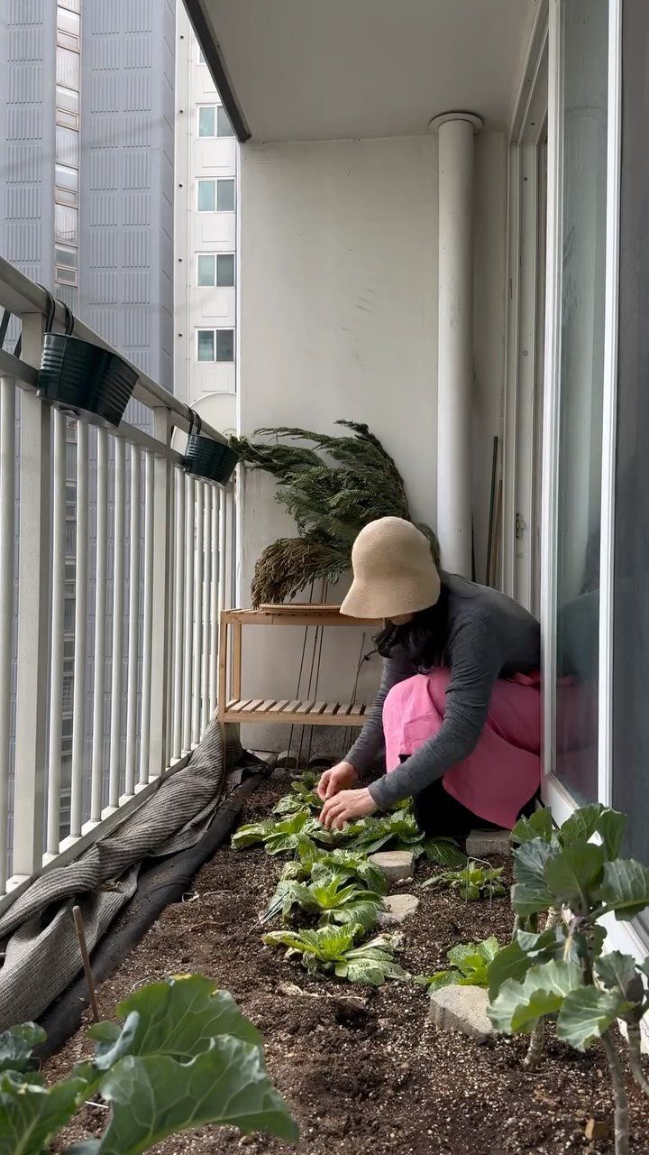 A person kneeling on a balcony tending to green plants growing in a soil bed.