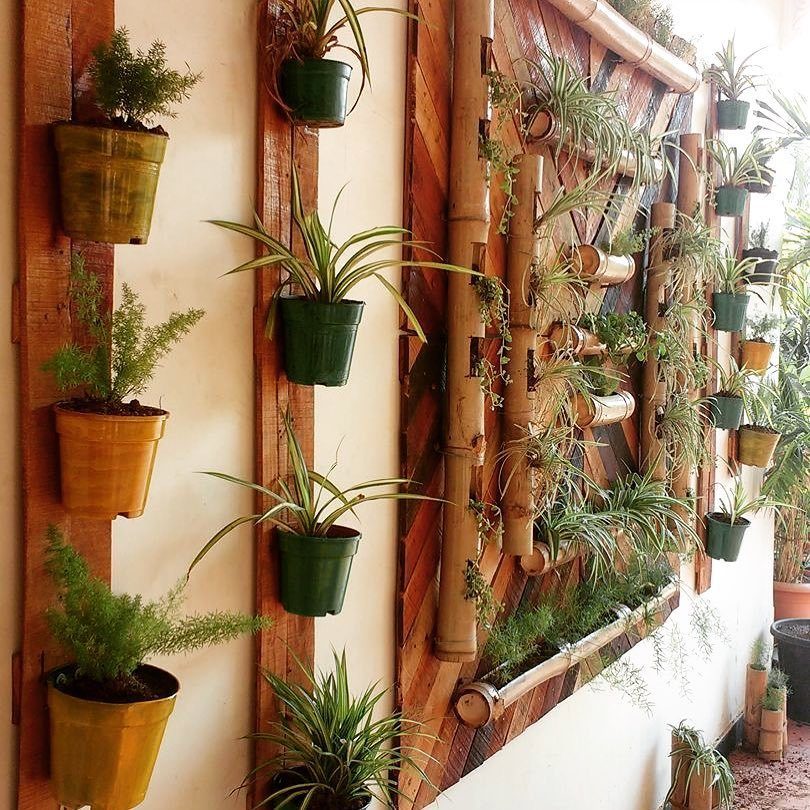 Potted plants mounted vertically on a wooden and bamboo wall structure.