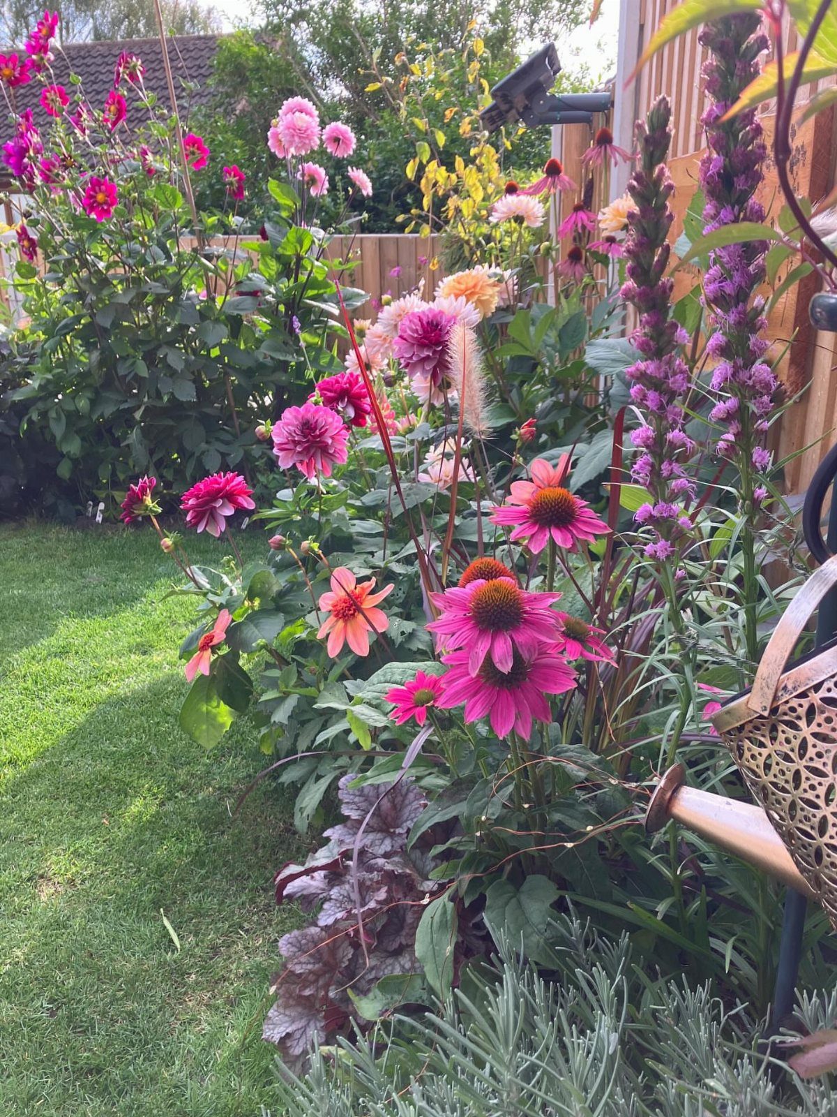 16 Beautiful Backyard Ideas for Cozy to Elegant Outdoor Spaces 6 Colorful pink, orange, and purple flowers blooming in a lush green backyard garden bed.