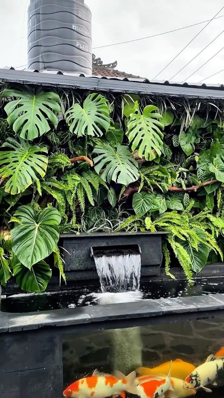 19 DIY Landscaping Ideas on a Budget for Any Yard 3 Tropical green plants including Monstera and ferns growing on a vertical garden wall above a koi pond.