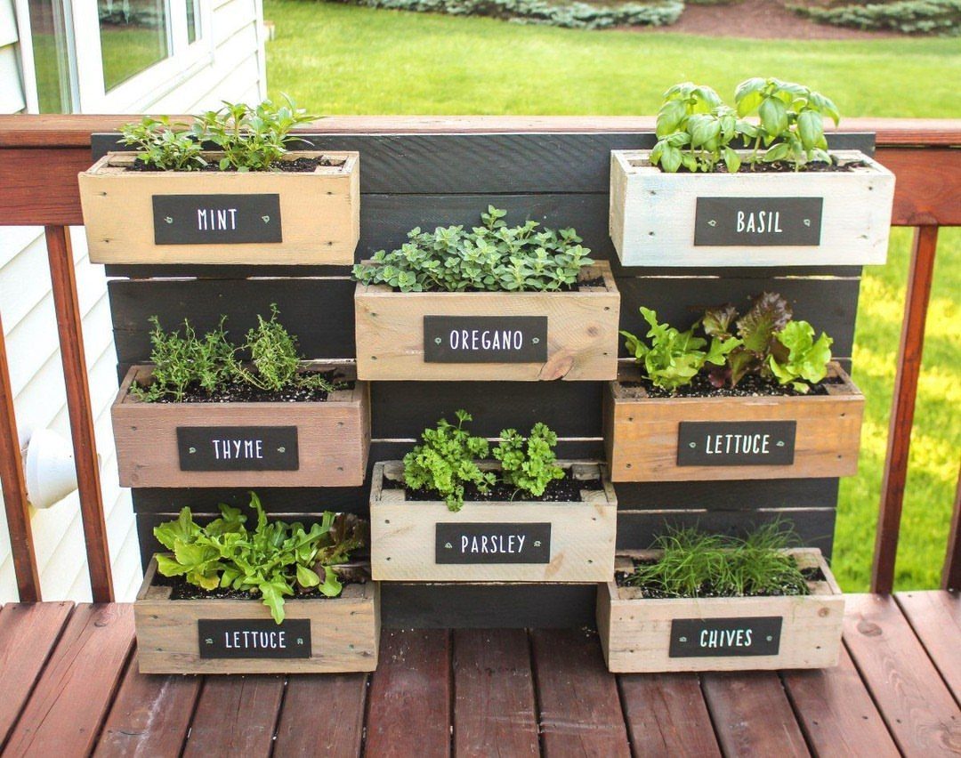 18 Farmhouse Backyard Ideas with Fire Pits, Herb Gardens & Outdoor Kitchens 4 Wooden planter boxes with labeled herbs like mint, basil, and parsley mounted on a dark fence.