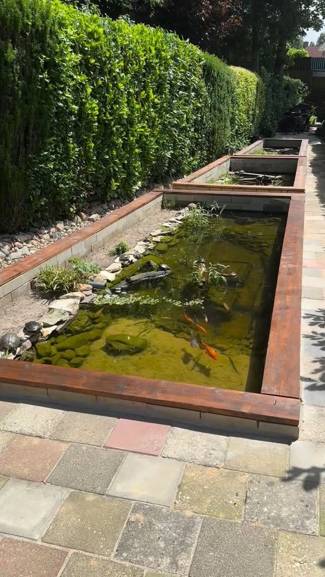 18 Farmhouse Backyard Ideas with Fire Pits, Herb Gardens & Outdoor Kitchens 6 A rectangular raised wooden pond with orange fish swimming among green aquatic plants.