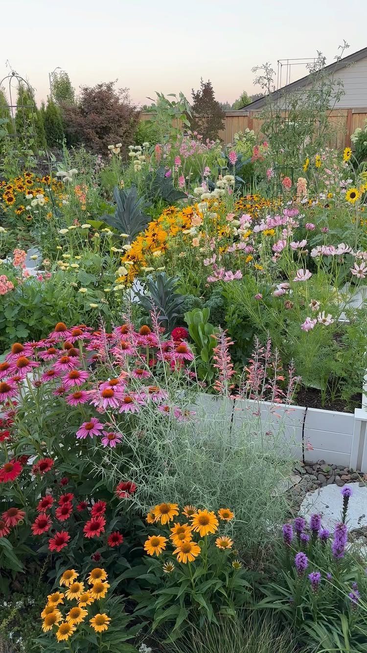 Colorful pink, orange, and purple flowers blooming densely within white raised garden beds.