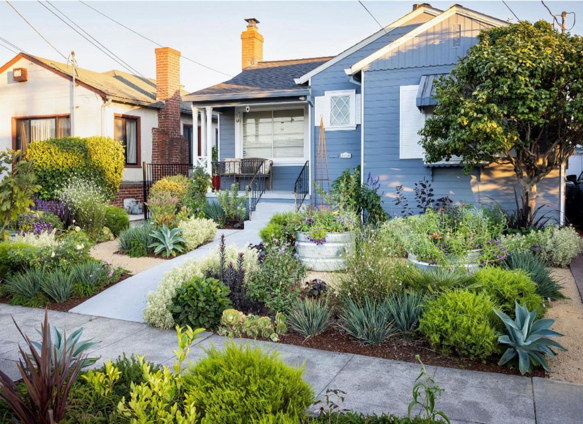 Lush green plants and succulents arranged in garden beds along a concrete walkway leading to a blue house.