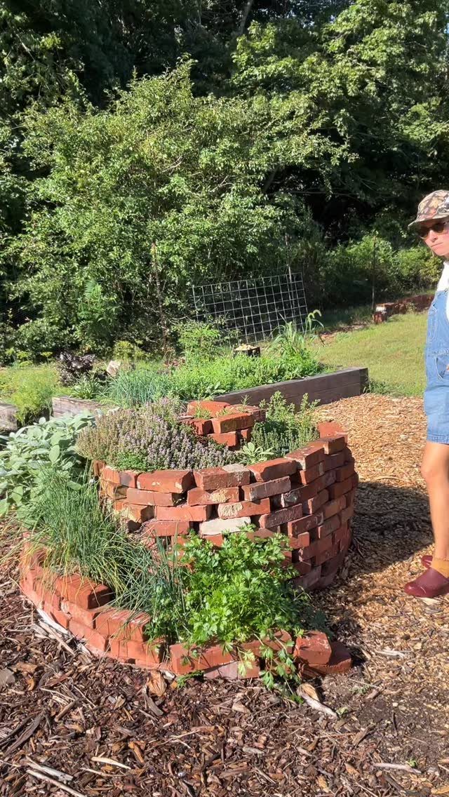 Circular red brick raised garden bed filled with lush green herbs in a mulched yard.