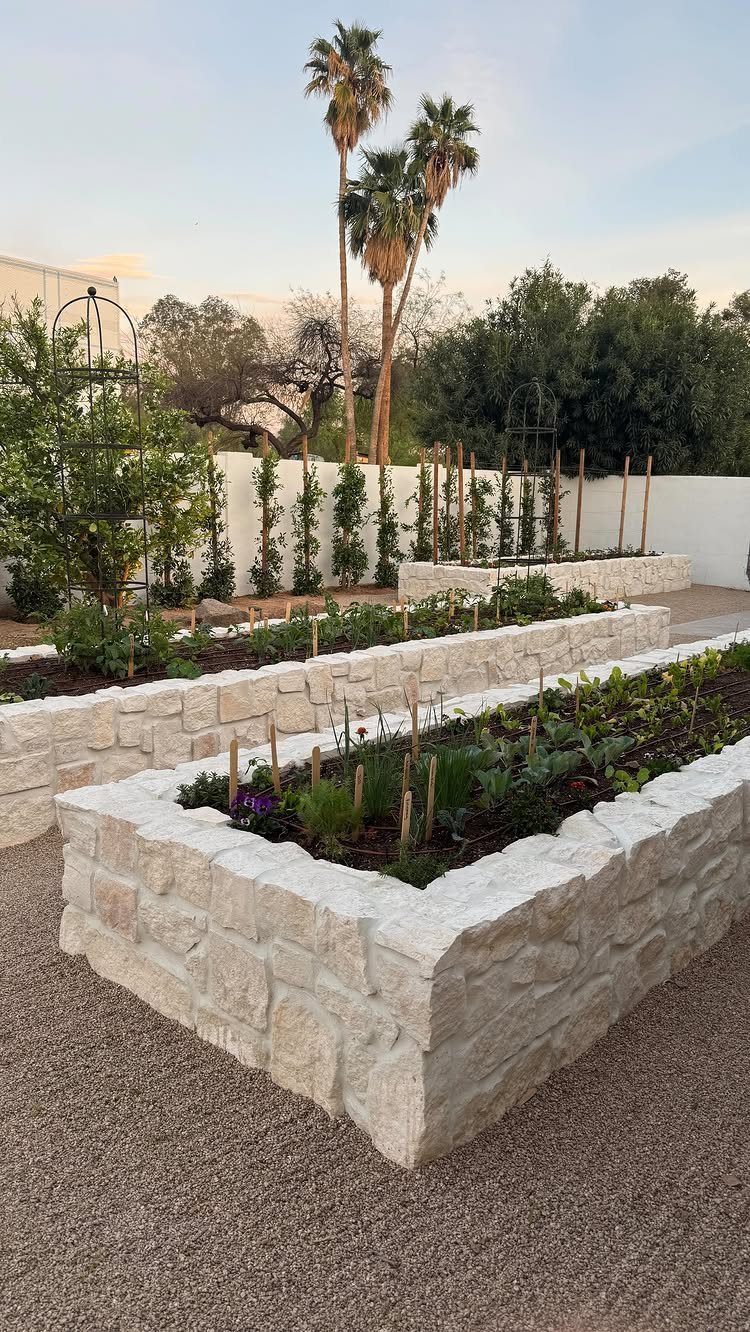 Stone raised garden beds filled with green plants and purple flowers on a gravel surface.