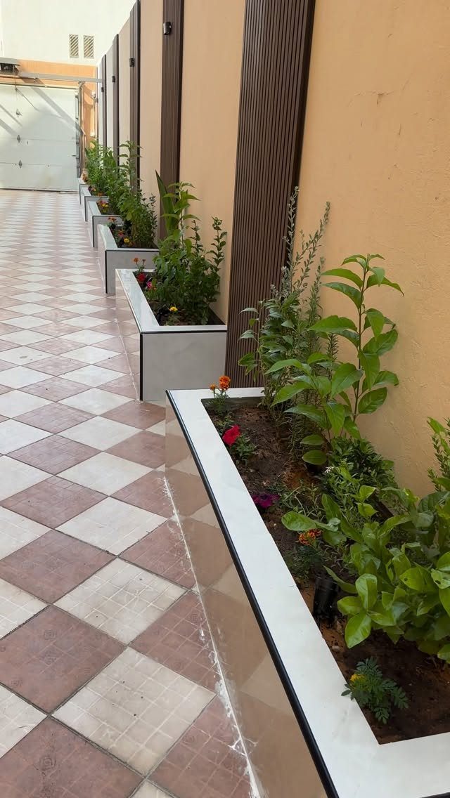 White rectangular raised garden beds with green plants lining a tan wall next to checkered tiles.