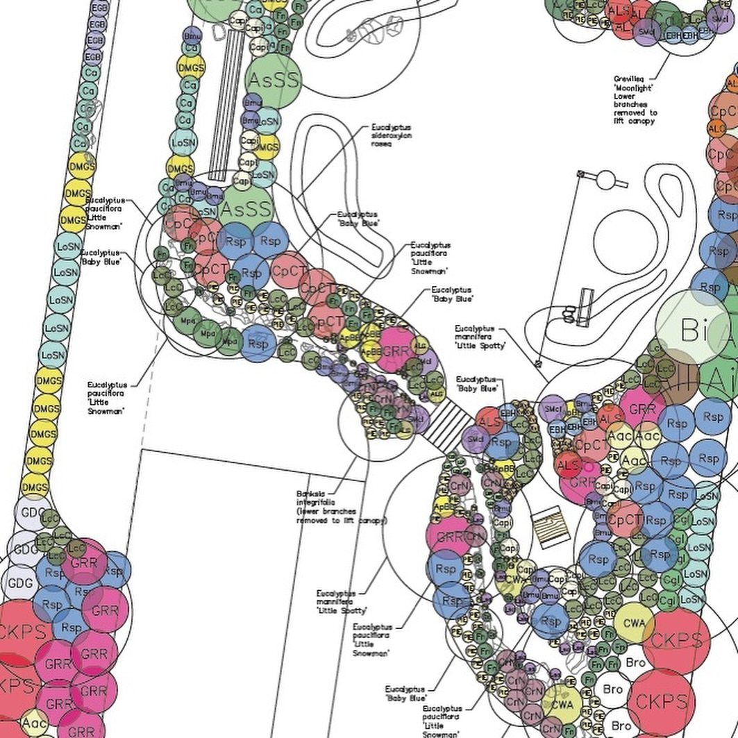 Garden Design Drawing: 11 Layouts and Sketches to Try 1 A colorful garden planting plan with labeled circles representing different plant species and layout lines.