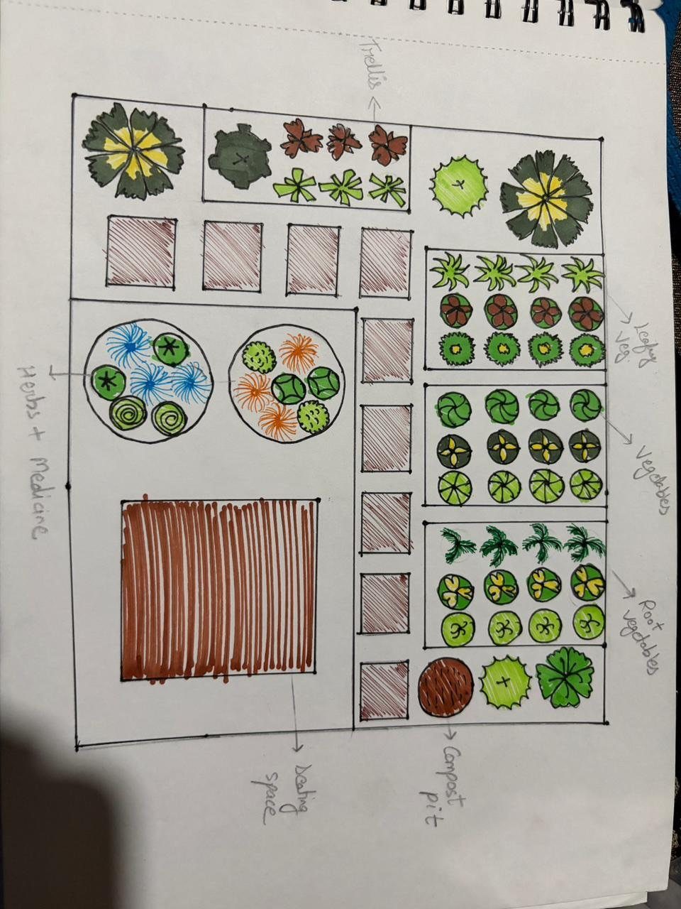 Garden Design Drawing: 11 Layouts and Sketches to Try 9 Hand-drawn garden design layout with colorful sketches of plants, vegetables, and garden zones on paper.