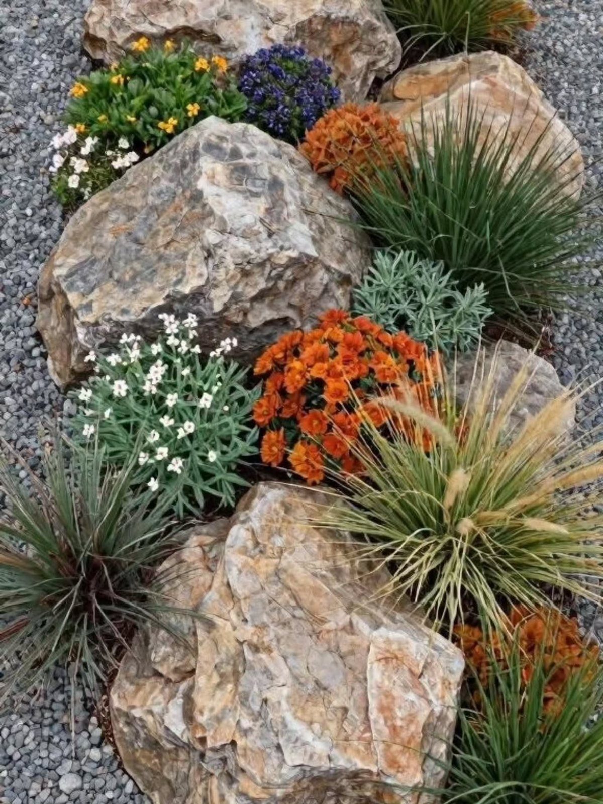 Large tan boulders nestled among colorful flowers and green plants in a gravel landscape.