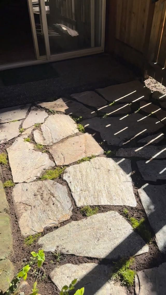 Flagstone pavers with small green plants growing in the gaps of a patio surface.