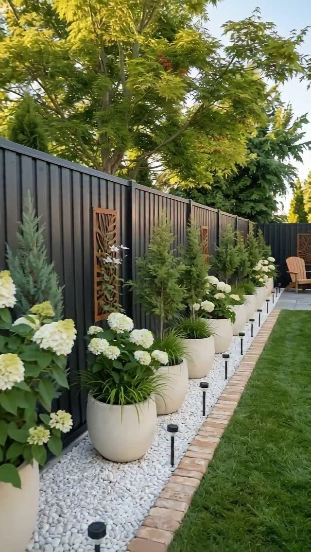 Large white planters with hydrangeas and evergreens arranged on white gravel along a black fence.