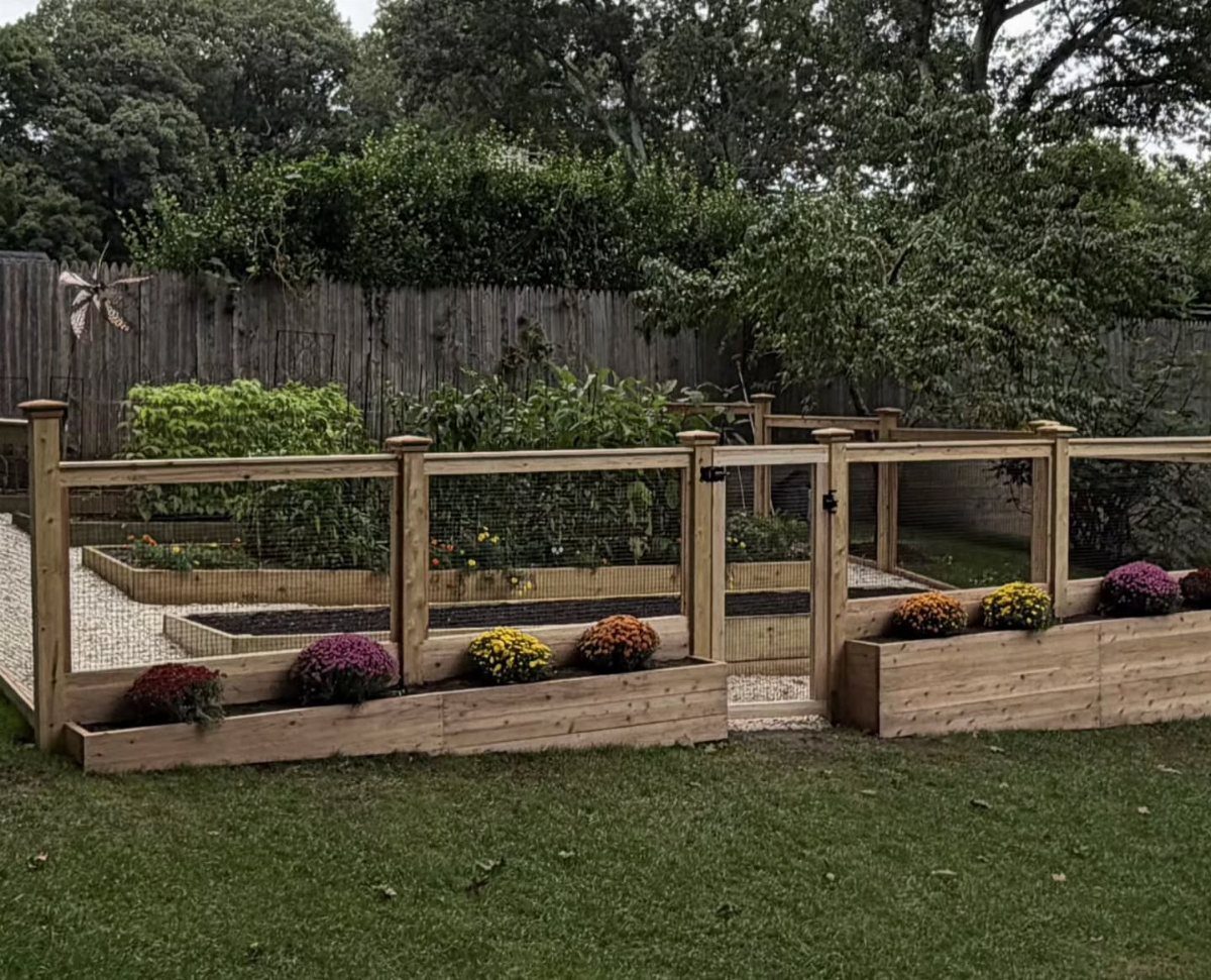5 Raised Garden Beds with Fence: Ideas from Mesh to Full Enclosure 4 Wooden raised garden beds built into a low fence with wire mesh and colorful flowers.