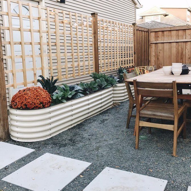 5 Raised Garden Beds with Fence: Ideas from Mesh to Full Enclosure 5 Corrugated metal raised garden beds with green plants and orange flowers next to a wooden lattice fence.