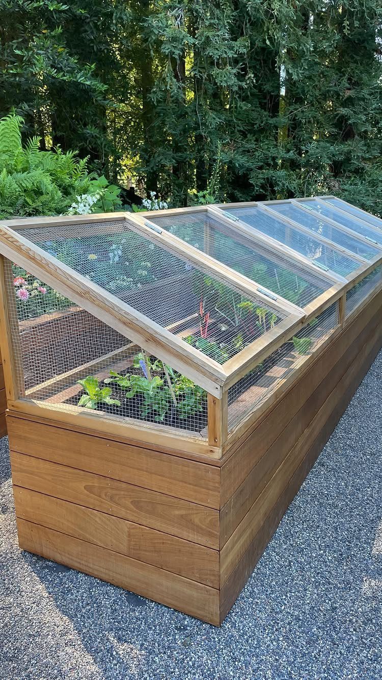 5 Raised Garden Beds with Fence: Ideas from Mesh to Full Enclosure 3 A long wooden raised garden bed with a wire mesh protective cover and green plants inside.
