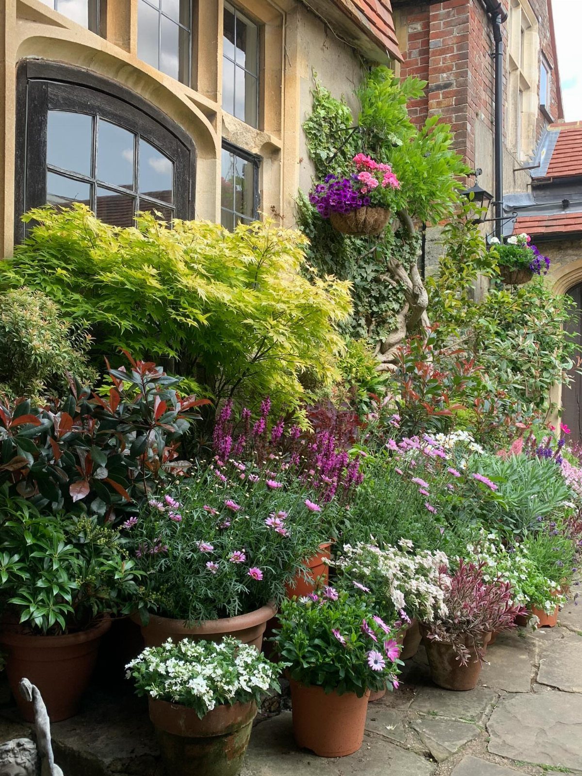 Various potted plants and colorful flowers arranged on a stone patio next to a building.
