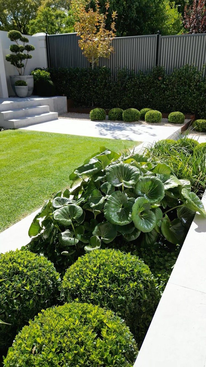 Light-colored paving and white stone steps surround a manicured green lawn and lush garden beds.