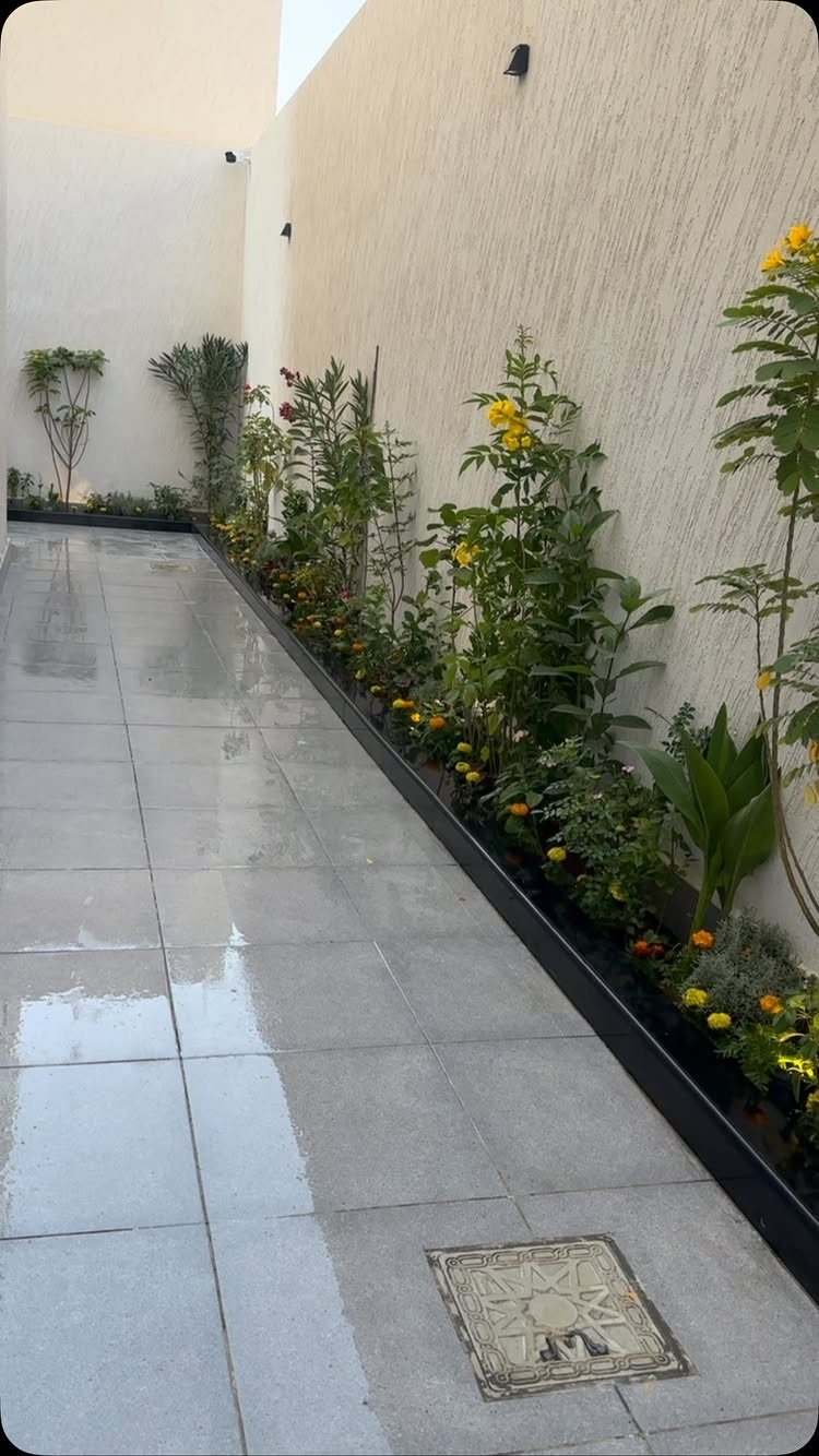 16 Small Home Landscaping Ideas That Fit Any Plot 9 Green plants with yellow flowers growing in a long black planter along a tiled walkway.