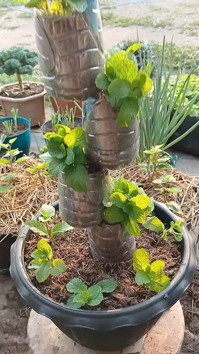 16 Small Home Landscaping Ideas That Fit Any Plot 1 Stacked metallic containers holding green leafy plants arranged vertically in a large black pot.
